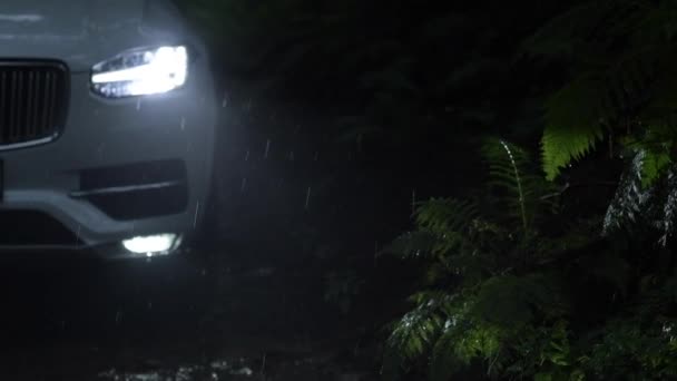 Αυτοκίνητο Στο Στενό Δασικό Δρόμο Κατά Διάρκεια Βροχερή Νύχτα — Αρχείο Βίντεο