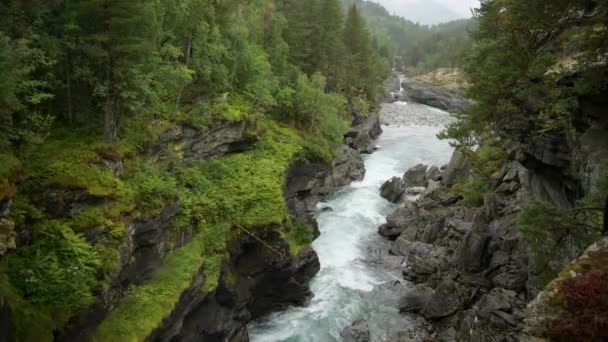 挪威西南部的风景 风景秀丽的河和旷野 — 图库视频影像