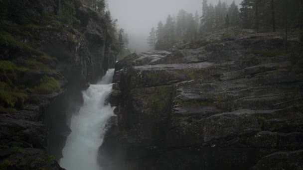 挪威的荒野和河流 风景秀丽的瀑布 — 图库视频影像