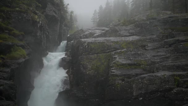 荒野と ノルウェーの川 風光明媚な滝 — ストック動画