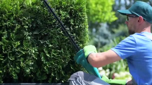 Caucasiano Jardineiro Aparar Arbustos Closeup Vídeo — Vídeo de Stock