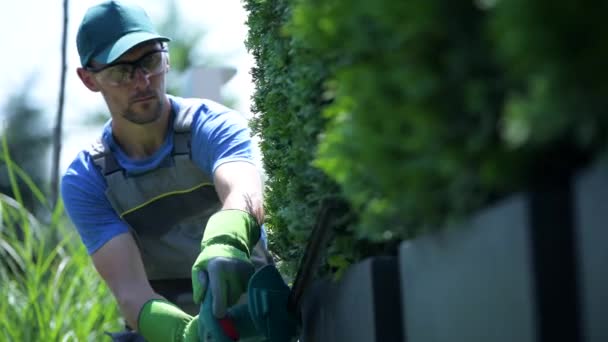 Professional Kaukasiska Garden Worker Trimning Växter — Stockvideo