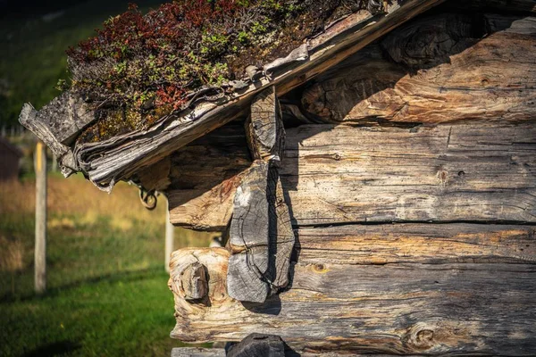 木屋特写 原木房子 斯堪的纳维亚高山小屋 — 图库照片