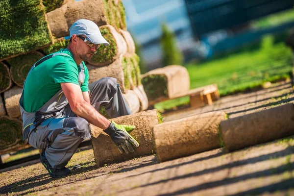 Caucasian Turf Grass Installer Replacing Old Lawn Fresh Natural Grass — Stock Photo, Image