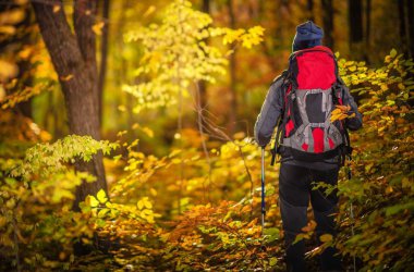 Sonbahar yaprakları keşfetmek. Beyaz Hiker orman izinde. Backpacking ahşap.