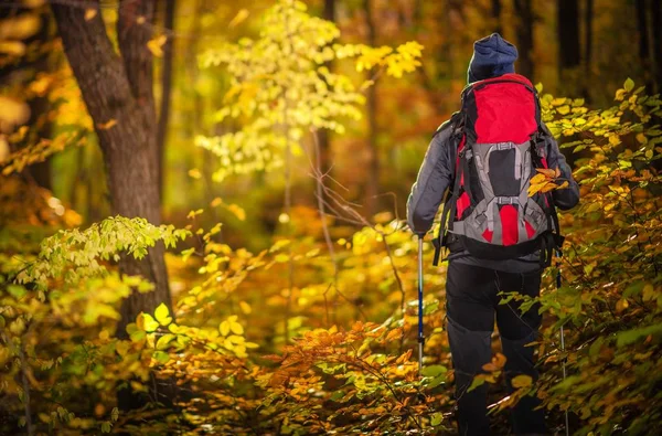 Autumn Foliage Exploring Caucasian Hiker Forest Trail Backpacking Wood — Stock Photo, Image