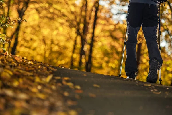 Autumn Foliage Scenery Hiker Nordic Walking Poles Lower Body Part — Stock Photo, Image