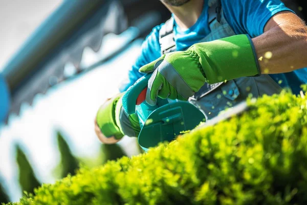 Plantas Aparadas Por Jardineiro Trabalhador Jardim Caucasiano Com Ferramenta Elétrica — Fotografia de Stock