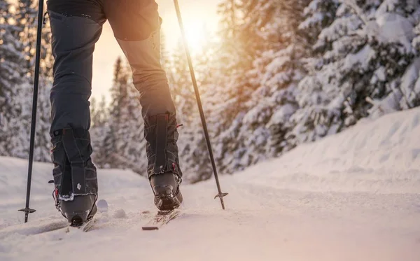 Cross Country Skiing Winter Sport Concept Ski Legs Closeup — Stock Photo, Image