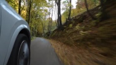 Doğal güz yaprakları araba yola gidiyoruz. Hafta sonu kaçamağı