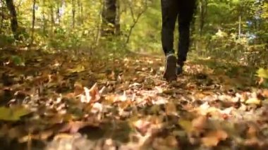 Sonbahar sezonu orman Çalıştır. Runner doğal sonbahar orman yolu üzerinde