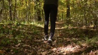 Ağır çekim görüntüleri sporcu bir ormanda çalıştırın. Sonbaharda yapraklar sahne.