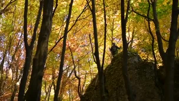 岩盤を楽しんでいるハイカーは 秋の紅葉の中に残します スローモーション映像 — ストック動画