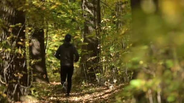 Grabación Cámara Lenta Hombres Corriendo Bosque Trailhead Otoño Escénico — Vídeos de Stock