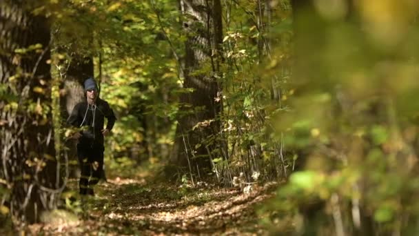 フォレストの男性を実行します 風光明媚な秋の森の小道 スローモーション — ストック動画