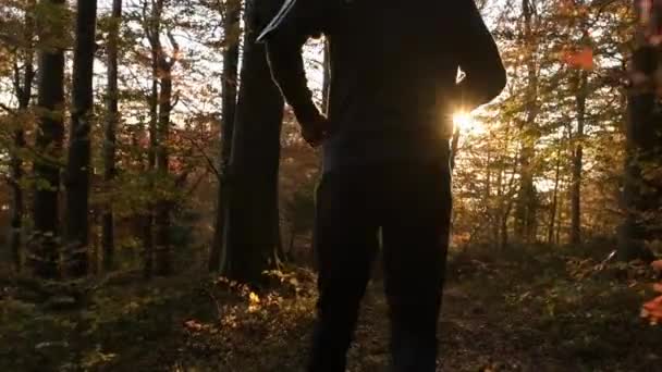 在风景日落时森林奔跑 慢动作视频 健康生活方式主题 — 图库视频影像