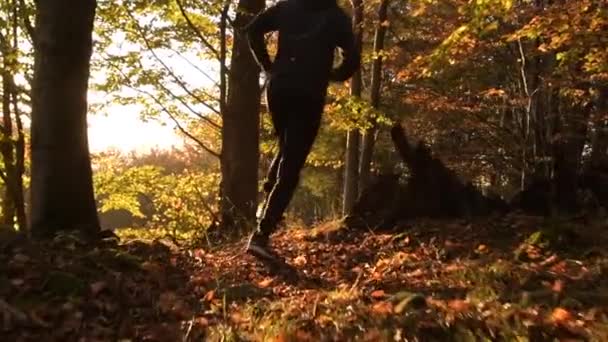 Der Malerische Sonnenuntergang Und Die Männer Die Einem Wald Rennen — Stockvideo