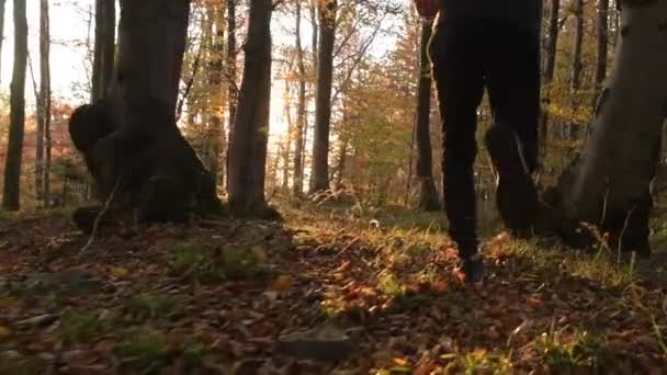 秋天的树叶景观和日落 在森林中的白种人跑者 慢动作视频 — 图库视频影像