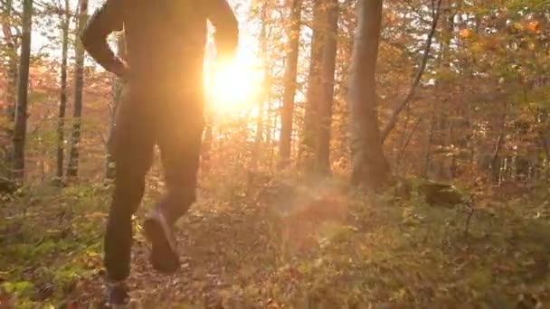 Scenic Forest Run Sunset Sportsman Fall Season Jogging — Stock Video