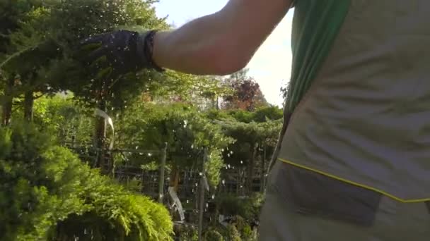 Professionele Tuinman Genieten Van Zijn Tuin Planten Door Aan Raken — Stockvideo