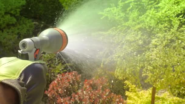 使用软管的园丁浇灌花园植物 — 图库视频影像