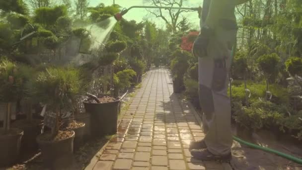 Professionele Tuinman Drenken Van Planten Koop Het Warenhuis Van Tuin — Stockvideo