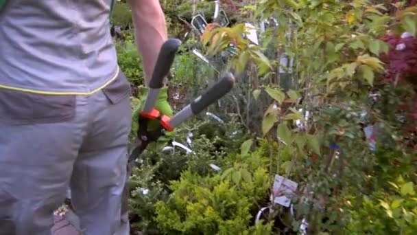 Jardineiro Com Tesoura Grande Andando Trough Departamento Jardim — Vídeo de Stock