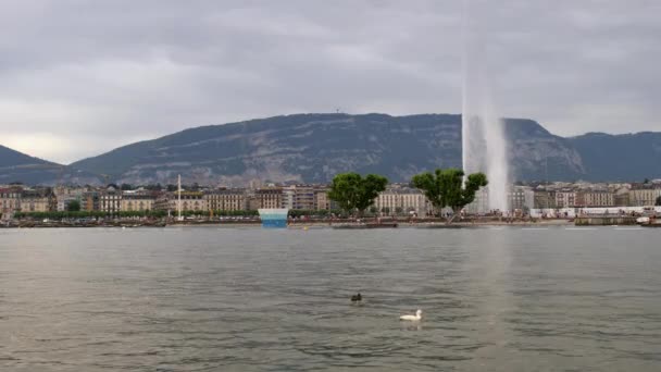 Genève Zwitserland Het Meer Van Genève Zomer Cityscape — Stockvideo