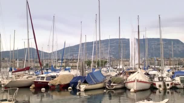 Genève Stadsbilden Och Genèvesjön Marina — Stockvideo