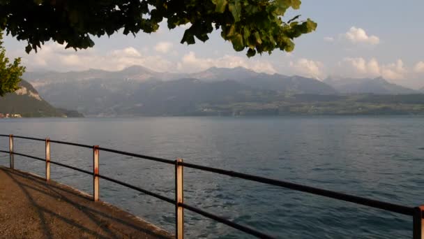 Jezero Thun Vista Švýcarsko Oblast Interlakenu Jungfrau Region — Stock video