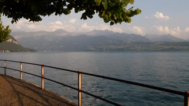 Danau Thun Vista Swiss Area Interlaken Daerah Jungfrau — Stok Video