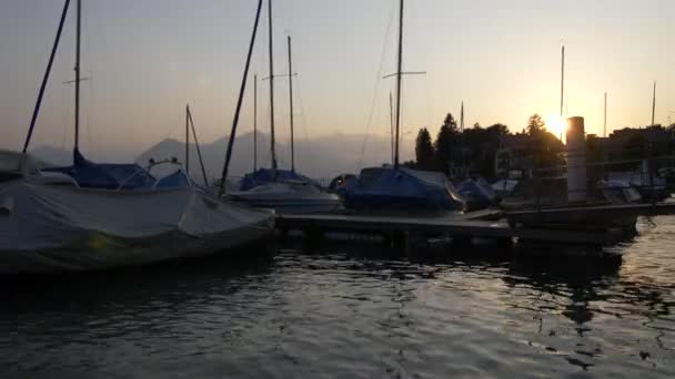 トゥーン湖の夕日 マリーナでボート ユングフラウ地域 スイス — ストック動画