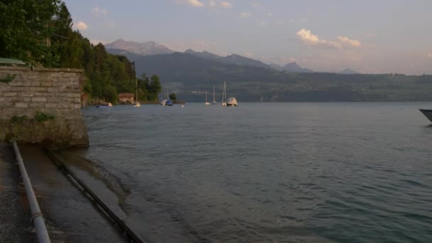 Paesaggio Del Lago Thun Interlaken Regione Jungfrau Svizzera — Video Stock