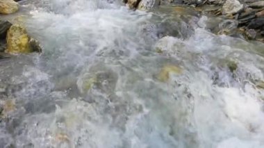 Acele dağ nehir Closeup ağır çekim görüntüleri