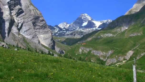 Grossglockner Mountain Austrias Tallest Mountain Summer Landscape — Stock Video