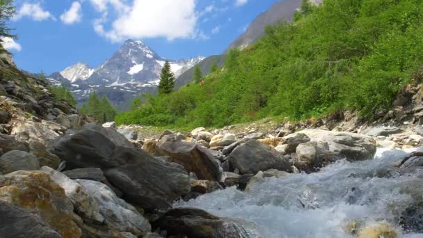 Scenic Mountain River Austrian Alps Grossglockner Area Slow Motion Footage — Stock Video