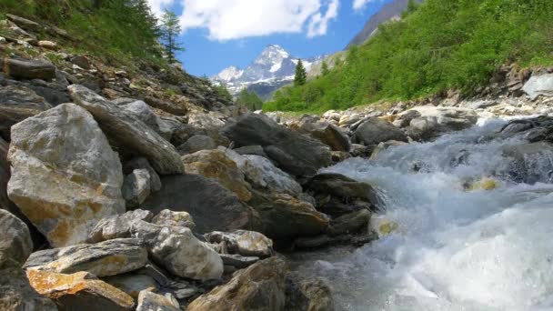 Slow Motion Filmagem Scenic Mountain River Alpes Austríacos Rio Alpino — Vídeo de Stock