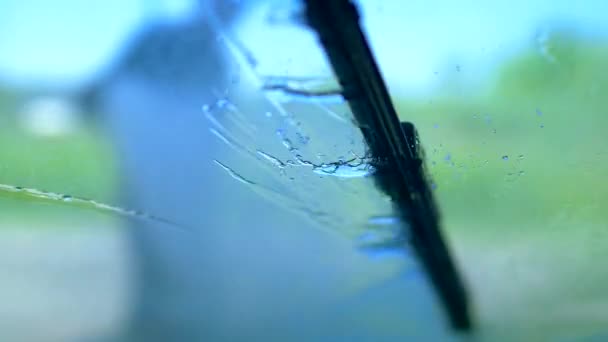 慢动作中的汽车雨刷 — 图库视频影像