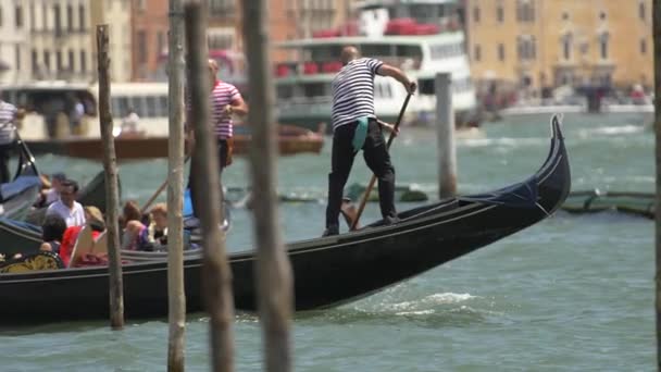 Venezianische Gondeln Der Bucht Der Große Kanal Venedig Italien Juli — Stockvideo