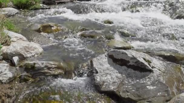 Close Berg Rivier Kristal Helder Water Flow Slow Motion — Stockvideo