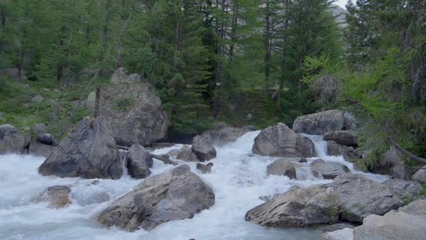 山河和森林 慢动作中的自然风光 — 图库视频影像