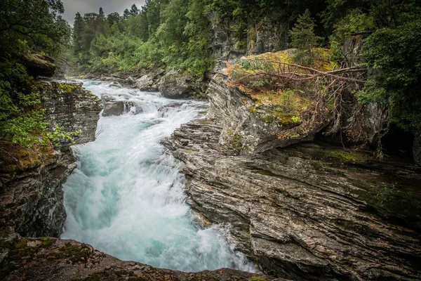 Сценическое Ущелье Норвежской Горной Реки Норвегия Европа — стоковое фото