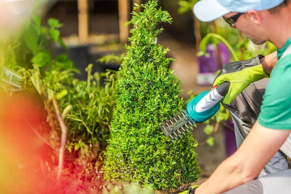 Caucásico Hombres Recortar Plantas Jardín Jardinería Industria Del Paisaje —  Fotos de Stock