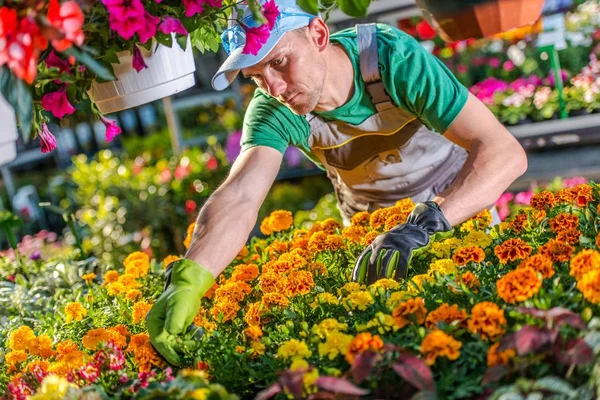 Trabajo Florista Mayorista Propietario Del Negocio Floral Vender Flores Granel — Foto de Stock