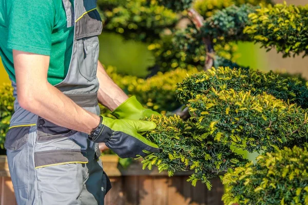 Kaukasische Tuinman Controleren Zijn Planten Tuin Landschapsbouw Industrie — Stockfoto