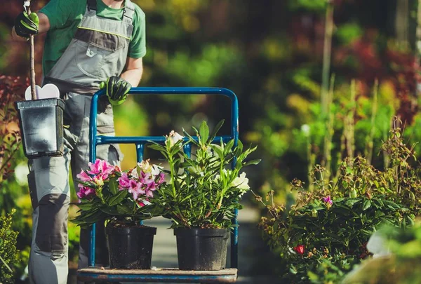 Spring Time Plants Shopping Jardineiro Caucasiano Com Carrinho Loja Jardim — Fotografia de Stock