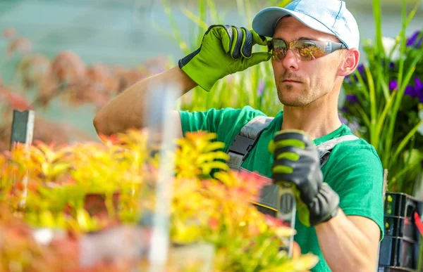 Trabajador Tienda Jardín Caucásico Sus Años Usando Gafas Seguridad Trabajo — Foto de Stock