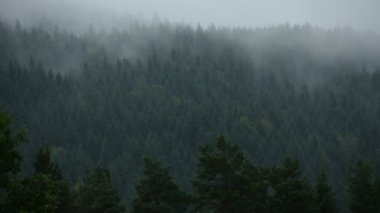 Foggy Forest Hills'in hızlandırılmış zamanı. Bulutlu Manzara.