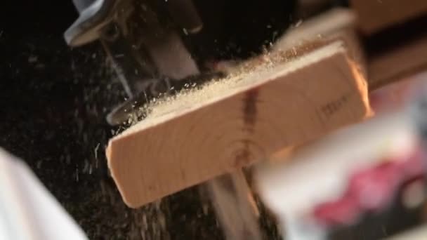 Reciprocating taglio del legno sega in movimento lento . — Video Stock