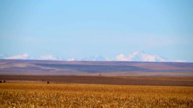 Colorado ovaları eyaleti. Kasım ayında RAW Colorado peyzaj. Ufukta karla kaplı Rocky Dağları